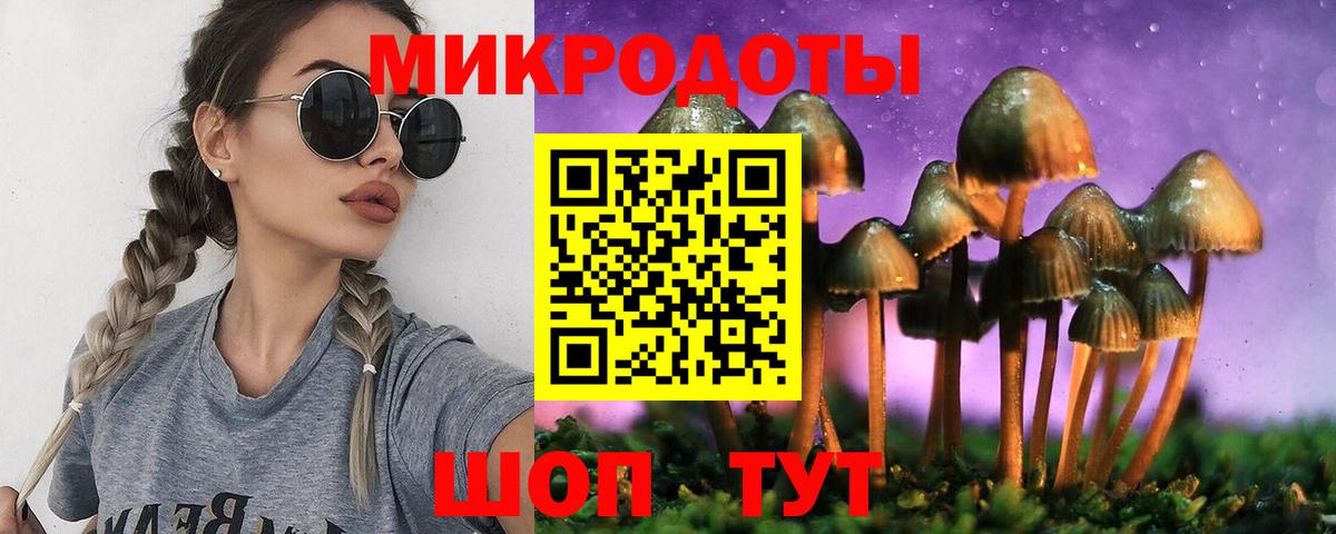 Галлюциногенные грибы Psilocybine cubensis Ртищево